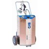 Goodway Technologies Portable Surface Sanitation System with 10 lb Cylinder BIO-SPRAY-10C